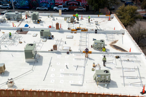 Best Skylight Installation and Repair  in Elmendorf, TX